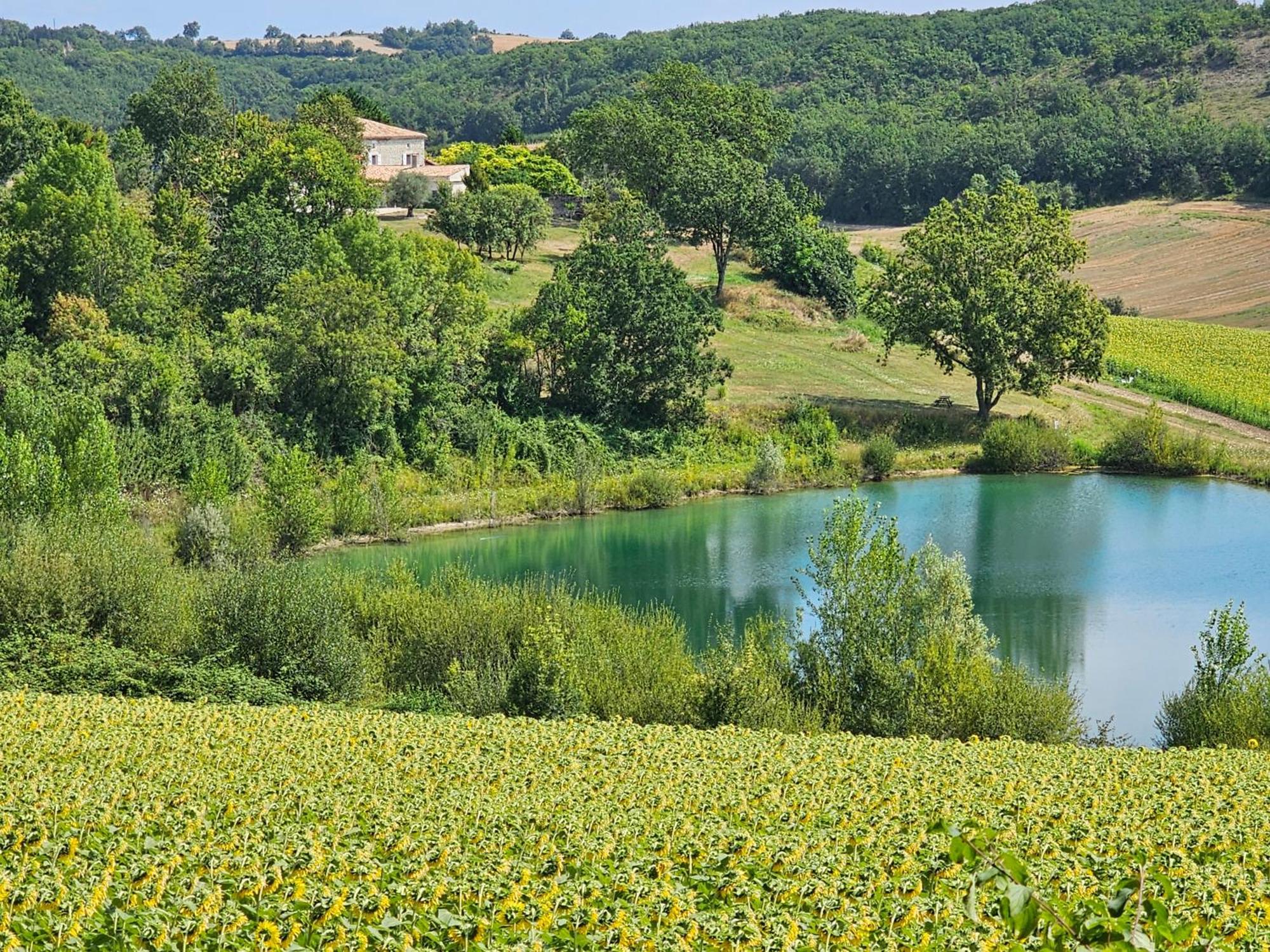 Le Gite Du Souffle Des Anges Sauveterre  Exterior foto